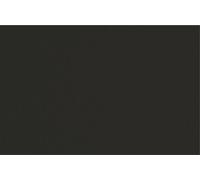 Fabriano Dessin Tiziano 10 Feuilles 50x65cm 160gsm Noir 31