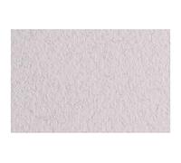 Fabriano Tiziano - Paquet 50 Feuilles 21x29,7 cm - 160 g - Beige rosé 27
