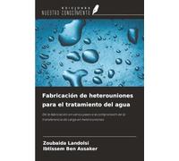 Fabricación de heterouniones para el tratamiento del agua: De la fabricación en varios pasos a la comprensión de la transferencia de carga en heterouniones