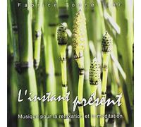 Fabrice Tonnellier - L'instant Present/Here & Now