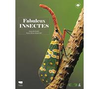 Fabuleux insectes
