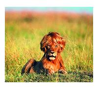 Fabulous Affiche Poster Brigitte La Lionne Humour Afrique Animaux(36x42cmB)