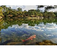 Fabulous Affiche Poster Carpes Koi Dans un Lac Paisible Jardin japonais