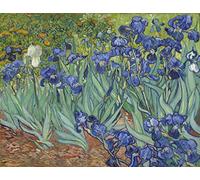 Fabulous Affiche Poster d'après l'oeuvre de Vincent van Gogh Saint-Rémy Les Iris 1889