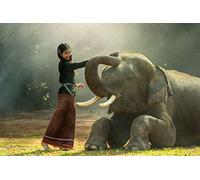 Fabulous Affiche Poster Elephant d'Asie Jeune Femme Photo Nature Thailande