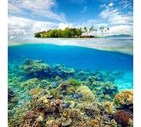 Fabulous Affiche Poster Ile Deserte Fonds Marins Corail Mer Paradisiaque Epoustouflant
