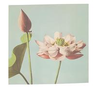 Fabulous Affiche Poster Lotus Rose Peinture Colorisé Motif Peinture Vintage Art Motif