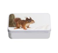 Fabulous Boite en Métal Ecureuil Trop Mignon Animal Sauvage Nature Photo Interieur - 11 x 18,5 x 5,5 cm - Boite de rangement, clé, outils, boite à Lunch, Sucre, Biscuit
