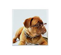 Fabulous Carreau Céramique Décoratif 15,2 x 15,2 cm - Bulldog Francais Lunette Intellectuel Petit Chien Marron