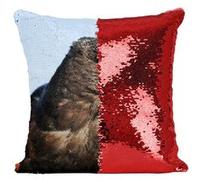 Fabulous Coussin avec Housse Sequin - Paillettes Rouge Buse de Harris Rapace [40 x 40 cm] Rouge G