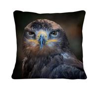 Fabulous Coussin avec sa Housse en Lin - Portrait Belle Aigle Brun Oiseau de Proie Animal Sauvage - 40 x 40 cm
