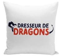 Fabulous Coussin blanc Dresseur de Dragons [40x40 cm] Blanc G