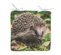 Fabulous Coussin de Chaise Carré Herisson Mignon Animaux de Jardin Foret Nature Sauvage - 40cm - Galette de Chaise