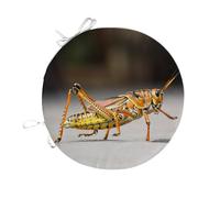 Fabulous Coussin de Chaise Rond Macro de Sauterelle Orange Vie Sauvage Insecte - 40cm - Galette de Chaise