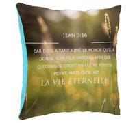 Fabulous Coussin en Peluche Bleu - Vie Eternelle Saint Jean 3:16 Bible Verset Spiritualité Citation Religion - 40 x 40 cm - Toucher Peluche - Housse et Coussin Inclus