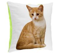 Fabulous Coussin en Peluche Vert - Tres Beau Chat Roux et Blanc Mignon Chat Domestique - 40 x 40 cm - Toucher Peluche - Housse et Coussin Inclus