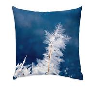 Fabulous Coussin en Velours Blanc - Brin d'herbe Couvert de Givre Flocon de Neige Hiver - 40 x 40 cm - Toucher Velours - Housse et Coussin Inclus