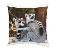 Fabulous Coussin en Velours Blanc - Couple de Lemuriens Madagascar Primate Rare Animaux Sauvages - 40 x 40 cm - Toucher Velours - Housse et Coussin Inclus