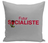 Fabulous Coussin gris Futur Socialiste [40x40 cm] Gris G