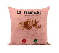 Fabulous Coussin Similicuir Rose - Le Sénégal m'appelle Voyage Culture Afrique - 40 x 40 cm - Toucher Cuir - Housse et Coussin Inclus