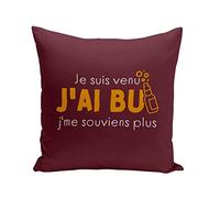 Fabulous Coussin Taie 40 x 40 cm Je suis Venu, J'Ai bu Soirée Cuite Humour Alcool