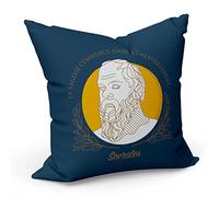 Fabulous Coussin Taie 40 x 40 cm La Sagesse Commence dans L'émerveillement Socrates Citation Philosophie
