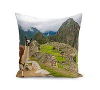 Fabulous Housse de Coussin 40x40 cm Machu Picchu Lama Selfie Peru Incas