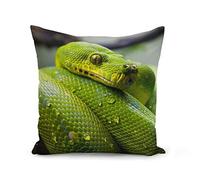 Fabulous Housse de Coussin 40x40 cm Python Vert Sublime Serpent Photo Nature Sauvage Reptile