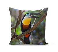 Fabulous Housse de Coussin 40x40 cm Toucan dans la Foret Vie Sauvage Oiseau