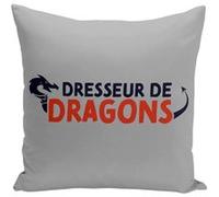 Fabulous Housse de coussin gris Dresseur de Dragons [40x40 cm] Gris G