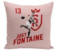 Fabulous Housse de coussin rose Just Fontaine [40x40 cm] Rose G