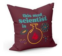 Fabulous Housse de coussin Rouge This Mad Scientist is 4 [40x40 cm] Rouge G