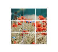 Fabulous Lot x9 Carreaux Céramique Décoratif 15,2 x 15,2 cm - Champ de Coquelicots et Blé Friche Fleurs Sauvages Nature (Taille totale 45,6 x 45,6cm)