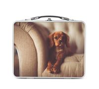 Fabulous Lunch Box Métal Argenté pour Sandwich et Snack - Cavalier King Charles Relax Chill Chien Tendresse Mignon - Boîte à Goûter Aluminium Gamelle Rigide Style Rétro Imprimée en France