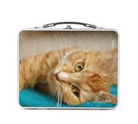 Fabulous Lunch Box Métal Argenté pour Sandwich et Snack - Chat Roux Tigré se Prélasse sur Serviette Bleu Animaux - Boîte à Goûter Aluminium Gamelle Rigide Style Rétro Imprimée en France