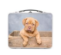 Fabulous Lunch Box Métal Argenté pour Sandwich et Snack - Chiot Dogue de Bordeaux Bebe Chien Portrait Mignon - Boîte à Goûter Aluminium Gamelle Rigide Style Rétro Imprimée en France