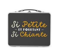 Fabulous Lunch Box Métal Argenté pour Sandwich et Snack - Si Petite, et pourtant si Chiante Humour Blague - Boîte à Goûter Aluminium Gamelle Rigide Style Rétro Imprimée en France