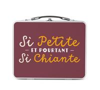 Fabulous Lunch Box Métal Argenté pour Sandwich et Snack - Si Petite, et pourtant si Chiante Humour Blague - Boîte à Goûter Aluminium Gamelle Rigide Style Rétro Imprimée en France