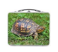 Fabulous Lunch Box Métal Argenté pour Sandwich et Snack - Tortue de Terre Noire et Jaune se Promène dans l'Herbe - Boîte à Goûter Aluminium Gamelle Rigide Style Rétro Imprimée en France