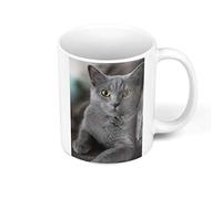 Fabulous Mug Céramique Chat Gris Russian Blue Animaux de Compagnie Mignon