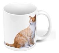 Fabulous Mug céramique Gros Chat Roux Poil Long Chat de Maison Blanc G