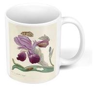 Fabulous Mug céramique Iris Papillons Chenilles Illustration Botanique Blanc G
