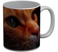 Fabulous Mug céramique Joli Chat Roux Europeen Fixe du Regard Blanc G