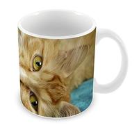Fabulous Mug Céramique Tasse Chat Roux Tigré se Prélasse sur Serviette Bleu Animaux
