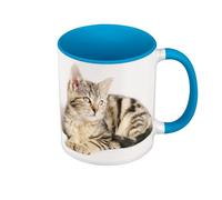 Fabulous Mug de Couleur Qualité Premium Bleu - Splendide Chaton Tigre Yeux Gris Europeen Mignon Chat - Tasse avec anse et intérieur de couleur