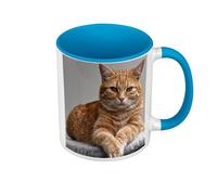 Fabulous Mug de Couleur Qualité Premium Bleu - Superbe/Chat Roux A Poil Long/Relax/Chill/Mignon - Tasse avec anse et intérieur de couleur