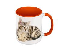 Fabulous Mug de Couleur Qualité Premium Orange - Splendide Chaton Tigre Yeux Gris Europeen Mignon Chat - Tasse avec anse et intérieur de couleur