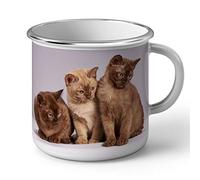 Fabulous Mug en Métal Emaillé Bebe Chats Siamois Persan Poils Longs Chat Trio Mignon