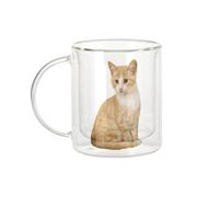 Fabulous Mug Verre Double Paroi - Tres Beau Chat Roux et Blanc Mignon Chat Domestique - Tasse a Cafe et The Isotherme 330ml Effet Suspendu Anti-Brulure Imprime en France