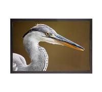 Fabulous Paillasson Gros Plan Tête de Héron Cendré Vie Animale Oiseau - Dimensions: 75x50cm
